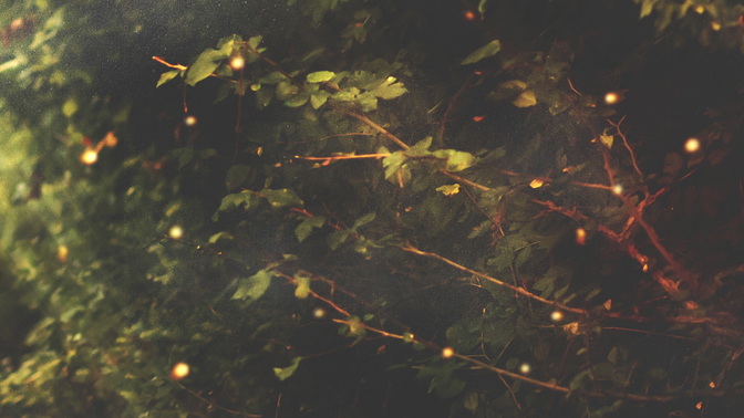 Light_Foilage_HD.jpg
