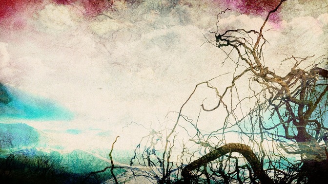 Roots_White_16x9.jpg