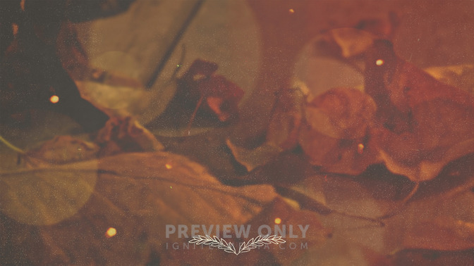 Give_Thanks__Love_16x9-BACKGROUND#preset=tg_bg.jpg