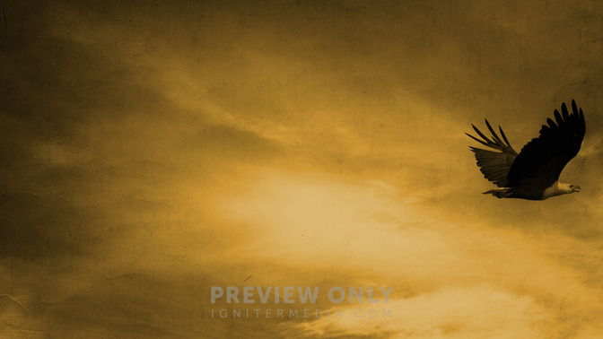 Under_The_Shadow_of_His_Wings_16x9-BACKGROUND#preset=tg_bg.jpg