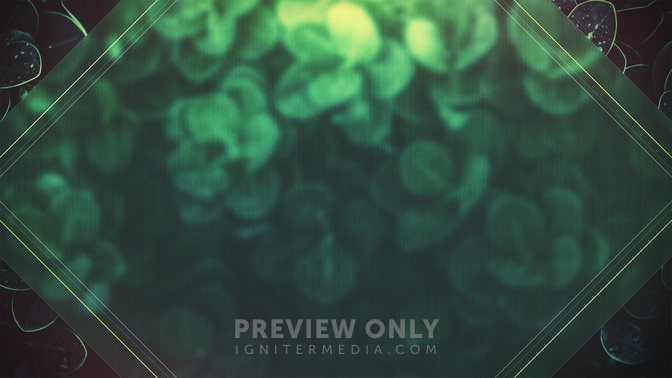 Spring_Dew-Give_Back_WIDE-ALT-2#preset=tg_alt2.jpg