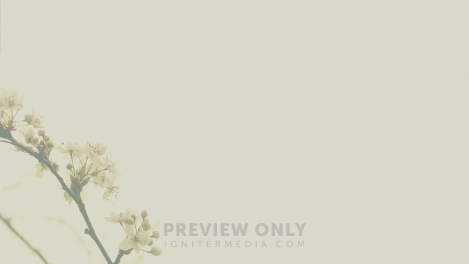 Blossoms_-_Happy_Easter_16x9-BACKGROUND#preset=tg_bg.jpg