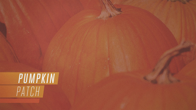 Pumpkin_Patch_16x9-CONTENT-2#preset=tg_alt2.jpg