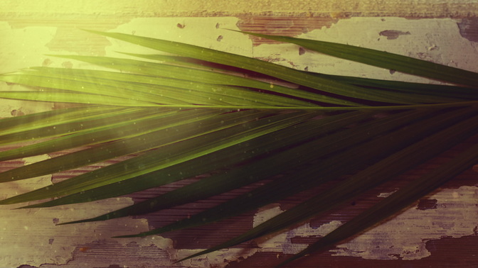 Portraits_Of_Passion_Palm_Sunday_Blank_HD.jpg
