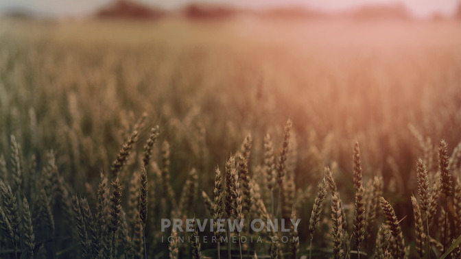 Uncovering_The_Hidden_Things_16x9-CONTENT-3#preset=tg_alt3.jpg