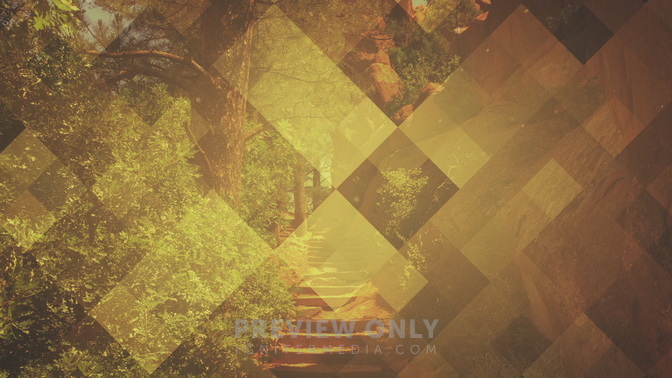 Pattern_Nature_Steps_WIDE.jpg