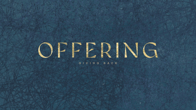 starlight scribbles - offering