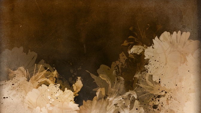 Flower_3_16x9.jpg