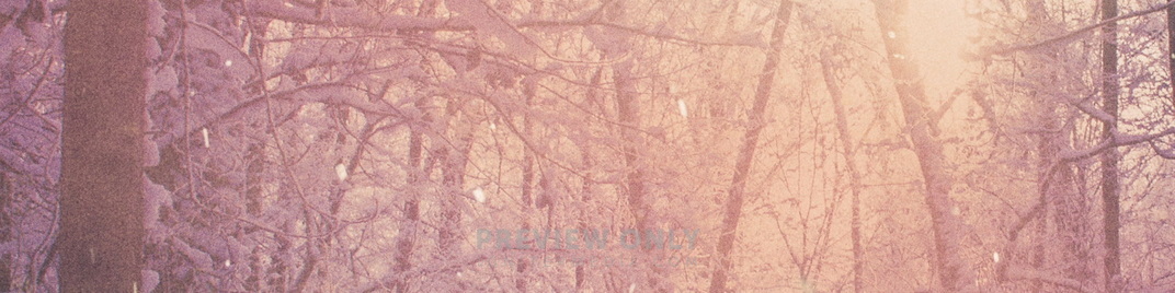 Scenic_Christmas_Forest_MS_1920x480.jpg