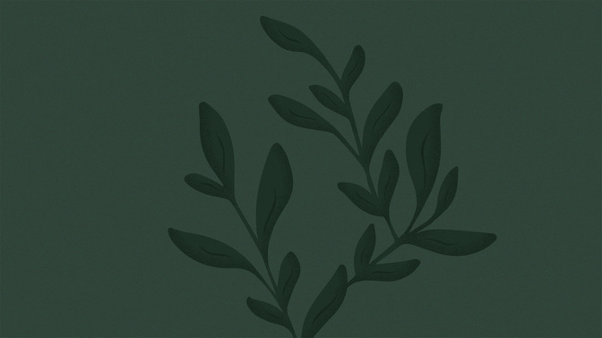 NewBeginnings_TT3_New_Beginnings_WIDE#preset=tg_title3.jpg