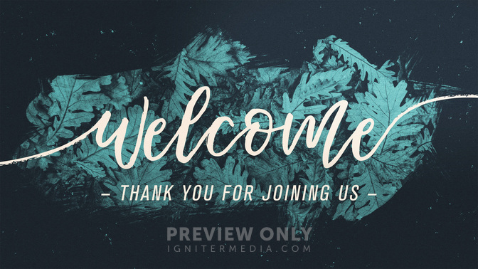 Brushed_Leaves-Welcome_WIDE-TITLE-1#preset=tg_title1.jpg