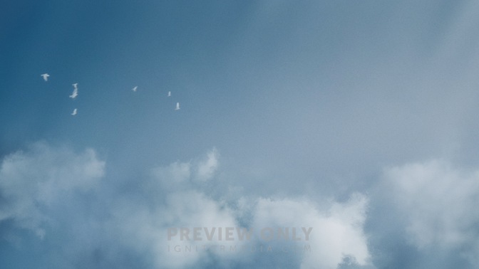 Reset_Clouds_Birds_HD.jpg