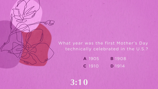 Floral Lines_Trivia_HD.jpg
