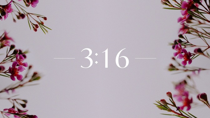 Floral_Details_Floral_Details_Countdown_02_HD.jpg