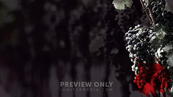 Rebellion_in_the_Vineyard_16x9-CONTENT-3#preset=tg_alt3.jpg