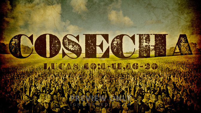 Cosecha_16x9-TITLE-1#preset=tg_title1.jpg
