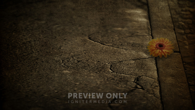 God_in_Unexpected_Places_16x9-CONTENT-3#preset=tg_alt3.jpg