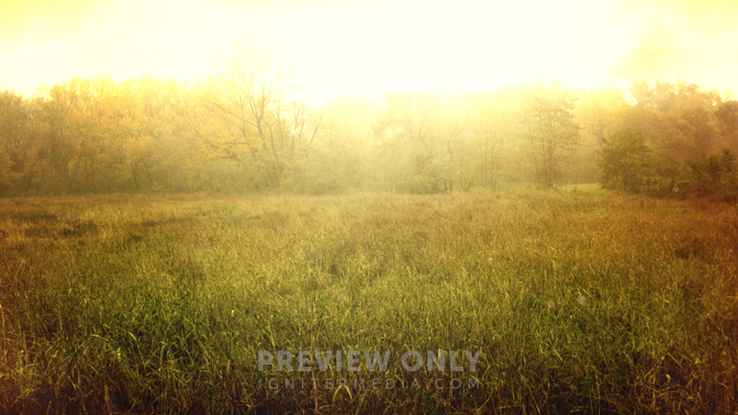Fall_Twilight_Field_720_Preview.jpg