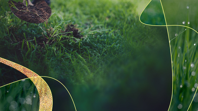 Sun_Wave_TT3_Summer_Outreach-New_WIDE#preset=tg_title3.jpg