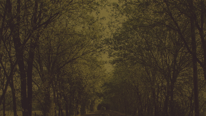 The_Path_of_Life_16x9-BACKGROUND#preset=tg_bg.jpg