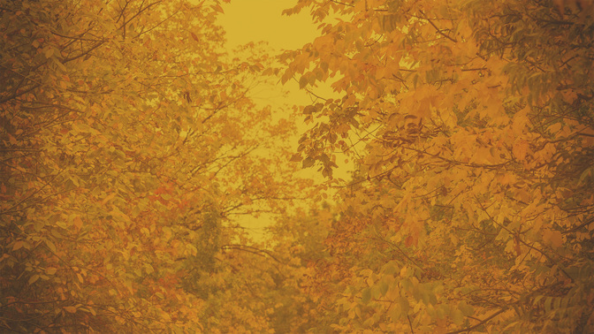 Fall_Outreach-WIDE#preset=tg_alt2.jpg