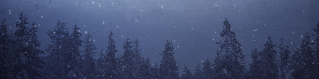 Muted_Christmas_Blue_MS_1920x480.jpg
