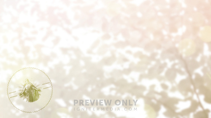Seeing_the_Word_of_Life_16x9-CONTENT-3#preset=tg_alt3.jpg