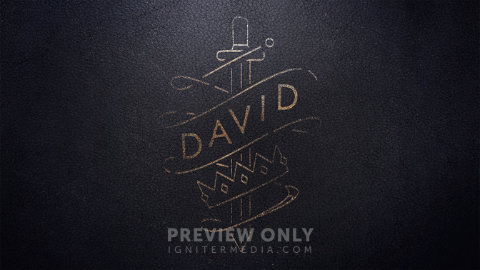 David-WIDE#preset=tg_title2.jpg