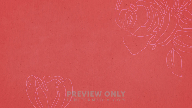 Floral Lines_WB_04_HD.jpg