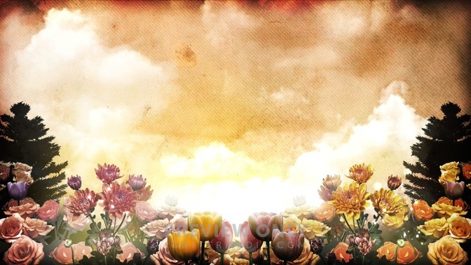 SpringFlowers2a-HD.jpg