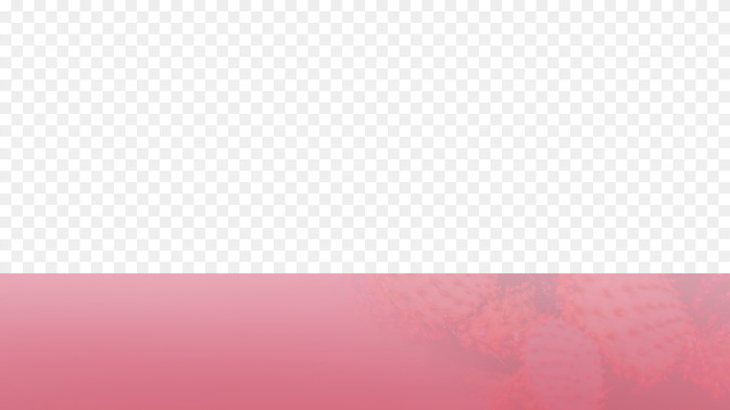 Womens_Conference-WIDE#preset=tg_transparent_png_preview.jpg