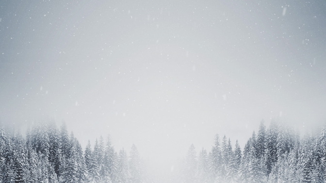 Majestic_Snow_Tree_Tops_HD.jpg