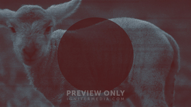 Lamb_of_God_16x9-TITLE-3#preset=tg_title3.jpg