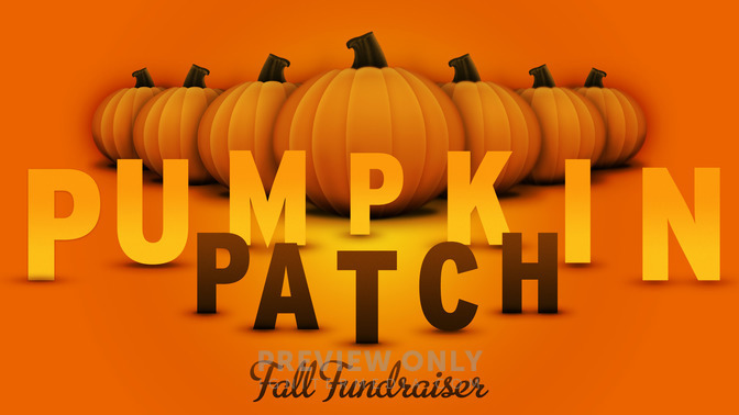 pumpkin patch