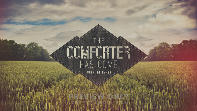 the comforter has come