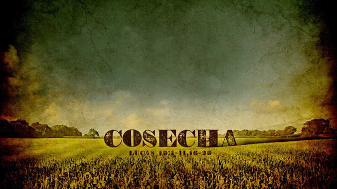 Cosecha_16x9-CONTENT-1#preset=tg_alt1.jpg