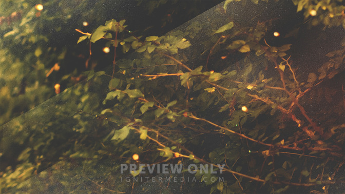 Walk_In_The_Light_16x9-BACKGROUND#preset=tg_bg.jpg