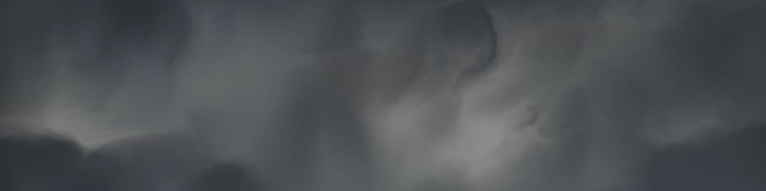 Dry Brush Waves - Near Muted 1920x480.jpg