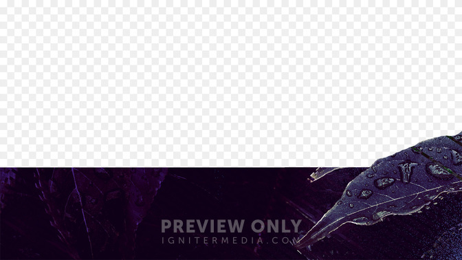MarriageConference-WIDE#preset=tg_transparent_png_preview.jpg