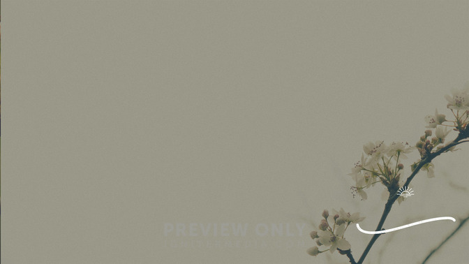Blossoms_-_Happy_Easter_16x9-CONTENT-3#preset=tg_alt3.jpg