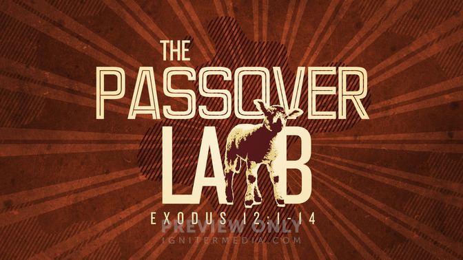 the passover lamb