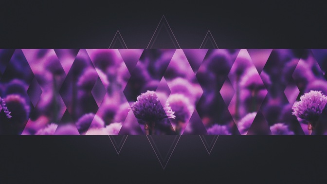 spring shift - purple bar