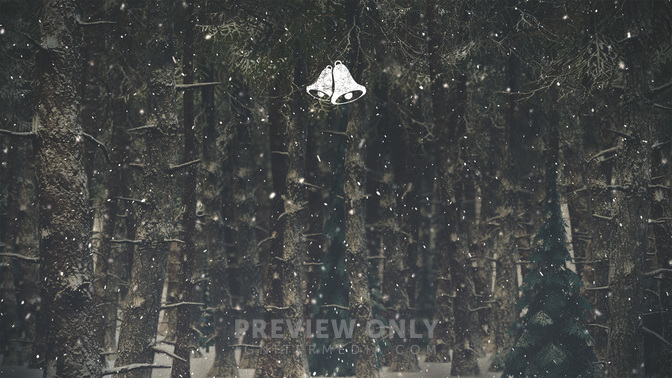 Winter_Wonderland-Christmas_Schedule-WIDE#preset=tg_title3.jpg