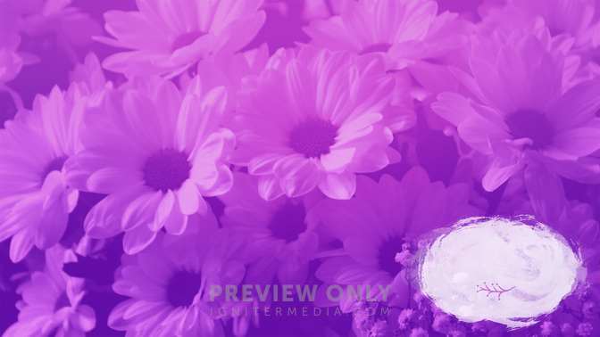 Flower_Fields-Events_WIDE-CONTENT-3#preset=tg_alt3.jpg