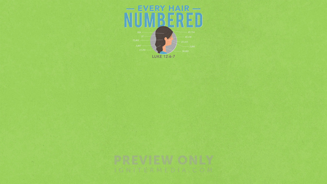 Every_Hair_Numbered_WIDE-CONTENT-1#preset=tg_alt1.jpg