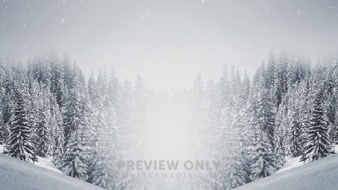 Majestic_Snow_-_Forest_16x9.jpg