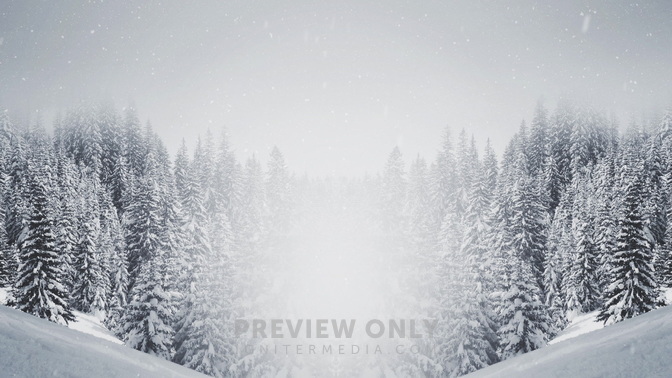 Majestic_Snow_Forest_HD.jpg