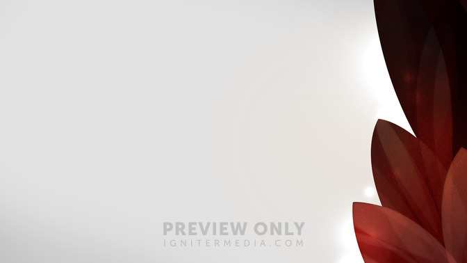 Elegant_Leaves_-_Coming_Up_16x9-CONTENT-3#preset=tg_alt3.jpg