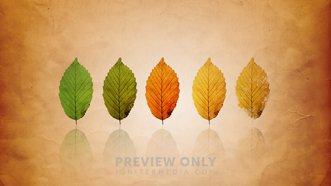 Ready_To_Die_16x9-TITLE-3#preset=tg_title3.jpg