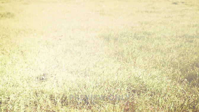 Vigilancia_Eterna_16x9-BACKGROUND#preset=tg_bg.jpg